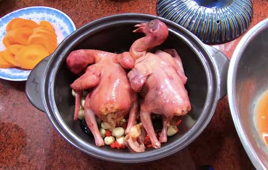 nguyên liệu Nấu chim câu tiềm thuốc bắc qua 3 bước